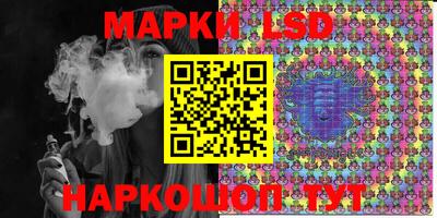 СК Апшеронск