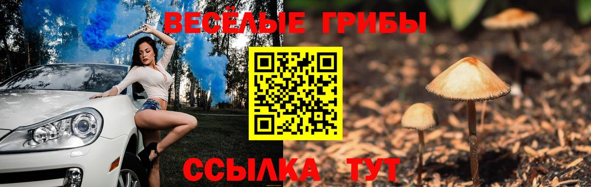 Галлюциногенные грибы GOLDEN TEACHER  Псилоцибиновые грибы прущие грибы  Барабинск 